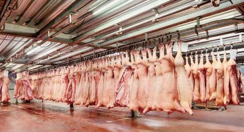 國家發改委接連啟動三批中央凍豬肉儲備收儲 能否穩定生豬市場？