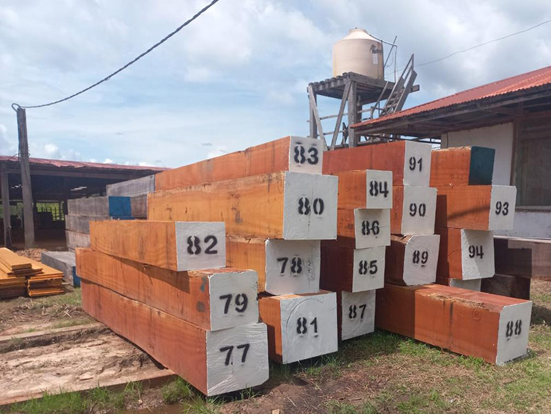 微信图片_20250212111159