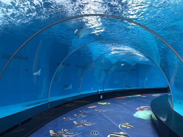 aquarium tunnel akwarium tonnel
