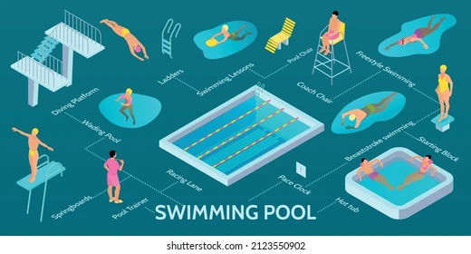 isometric swimming pool infographic diving immersione infografica isometrica di piscina