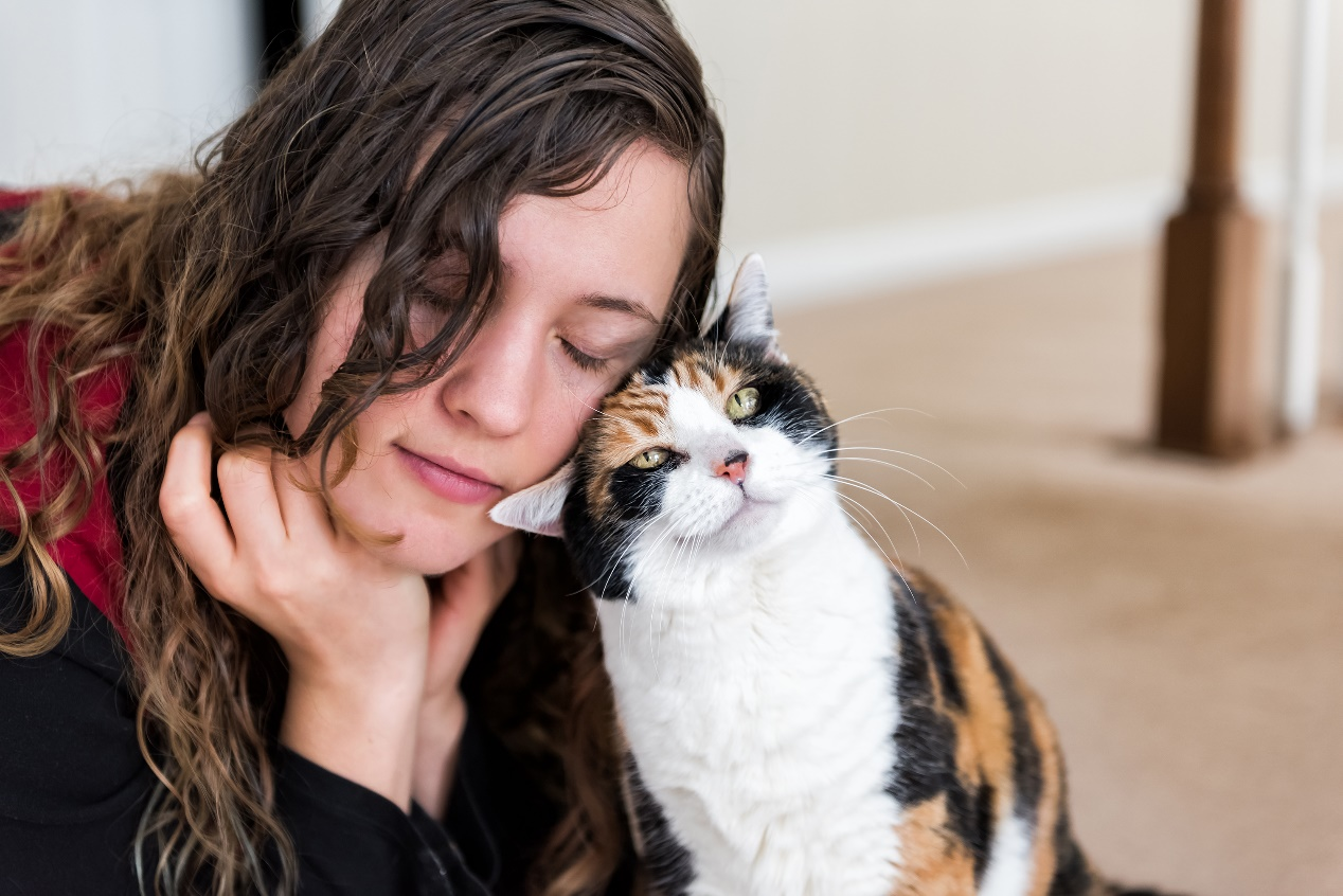 A cat with her beloved owner Sevgili sahibiyle birlikte bir kedi