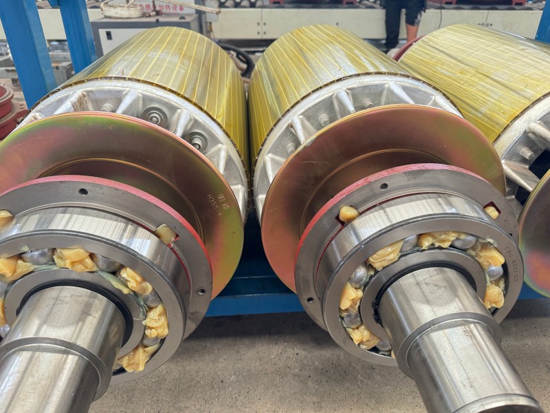 rotor conductor هادی روتور