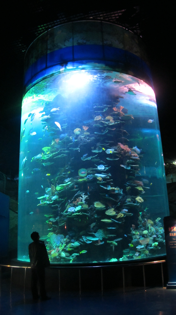 Shandong Penglai Underwater World - Leyu Arylic Cylindrical Aquarim Shandong Penglai Underwater World - Leyu Arylic Silindriese Aquarim