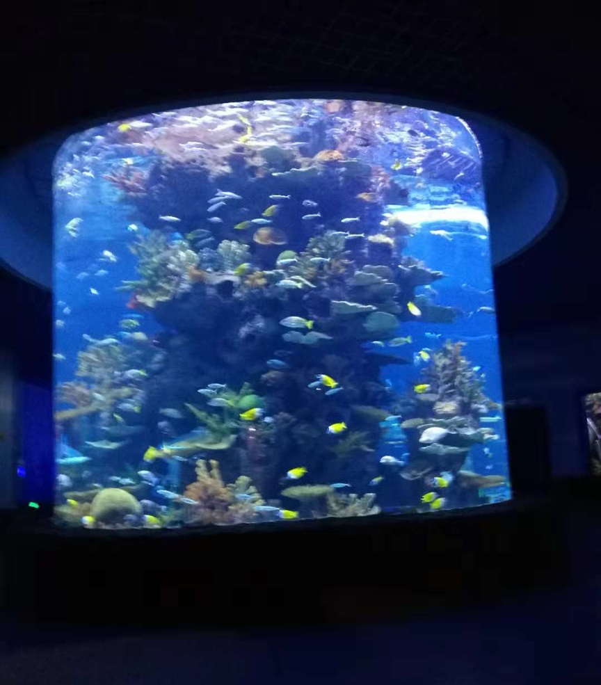 Leyu Cylindrical Fish Tank - Longchuan Polar Ocean World in Guizhou Province (5) تانک ماهی استوانه ای لیو - دنیای اقیانوس قطبی لانگ چوان در استان گوئیژو (5)