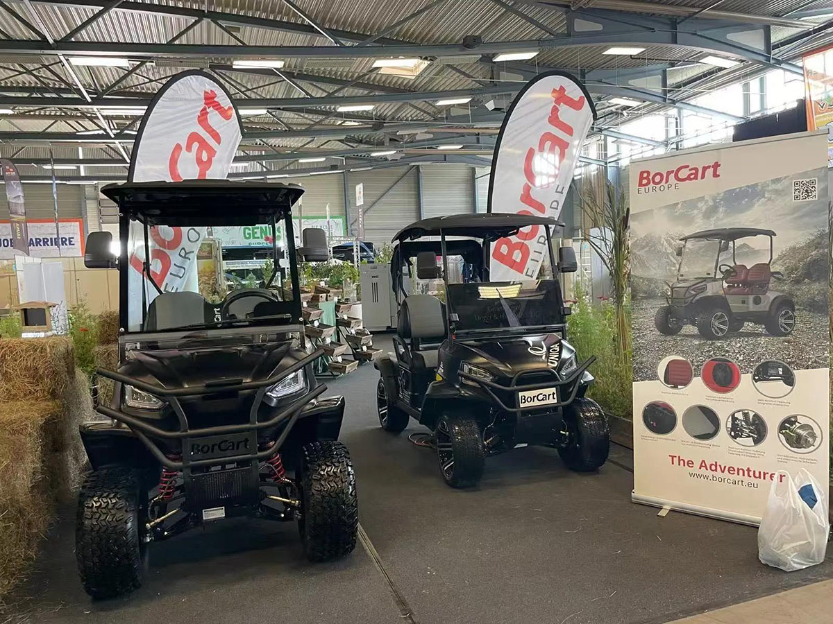 2 Seats Mini Electric Golf Buggy 2 Koltuk Mini Elektrikli Golf Arabası