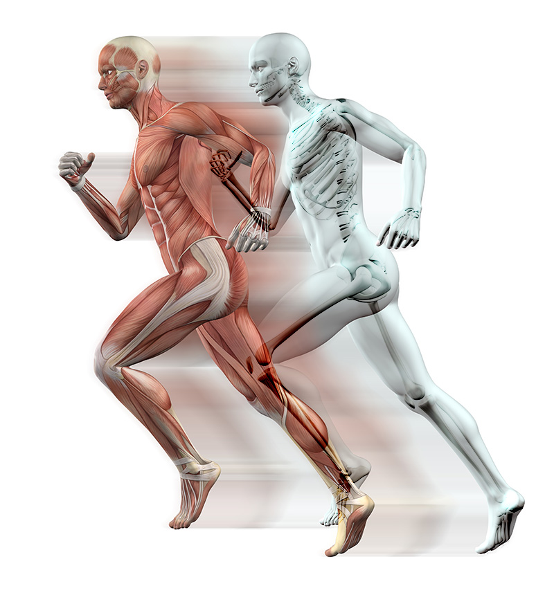 What Is Orthopedic and Sports Medicine Wat is ortopediese en sportgeneeskunde