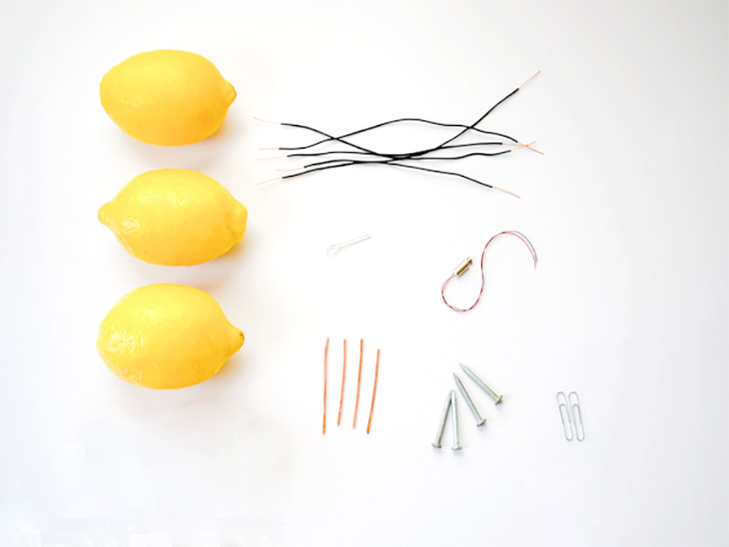 Picture of fruit battery (4)