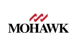 Mohawk Irokesenschnitt