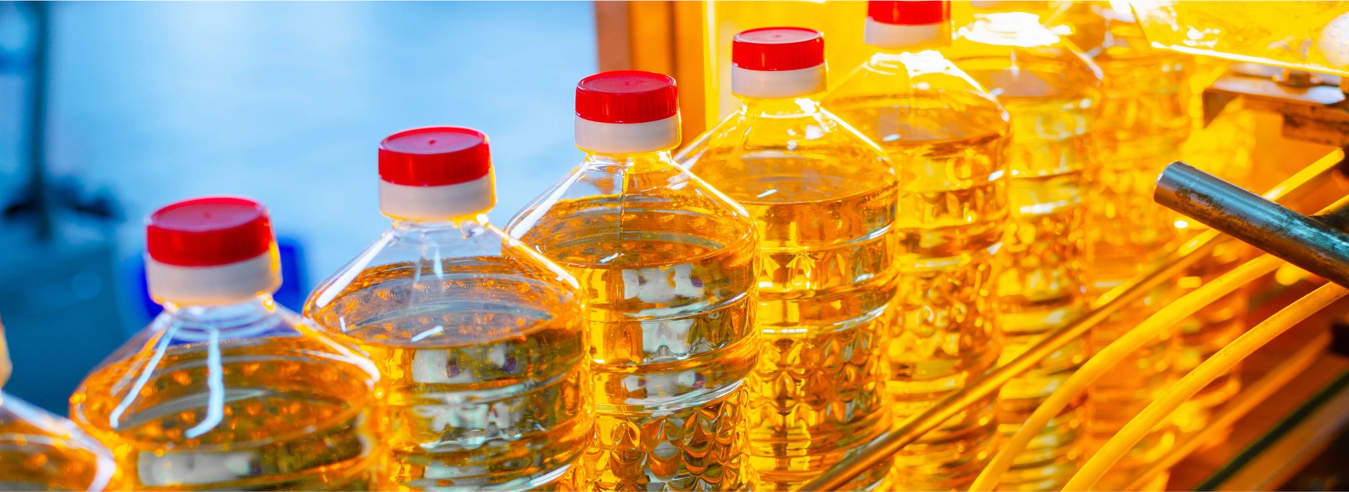 oil filling machine line Línea de máquinas de llenado de aceite
