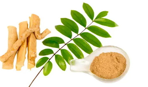 מה גורם ליצרני התמצית המובילים של טונגקט עלי להתבלט מהתחרות