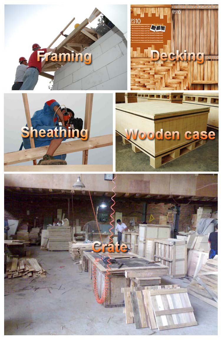 PSN100-34 Framing Nailer dalam Aplikasi