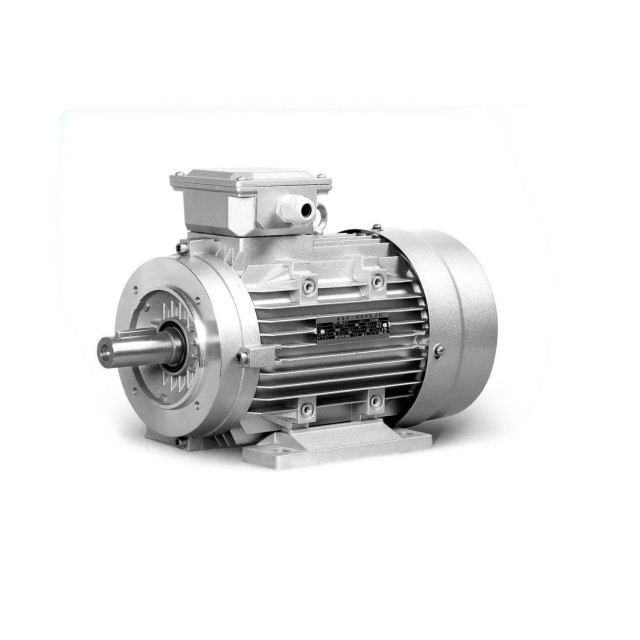 0.16 HP Motor 0,16 HP Motor