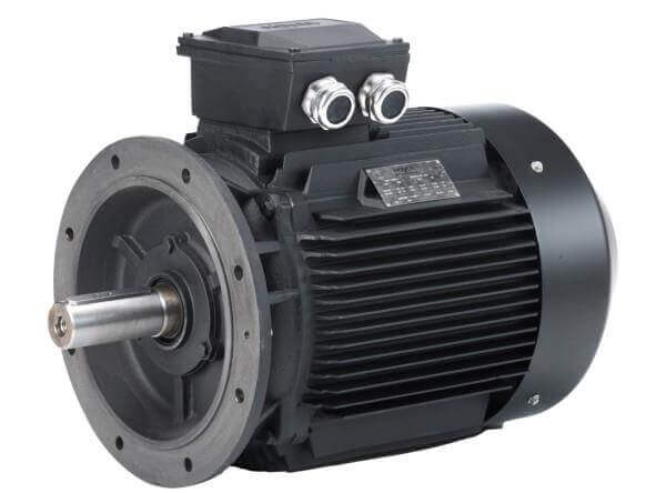 ie2 3 phase AC Electric Motor dvs 2 3-faset AC El-motor
