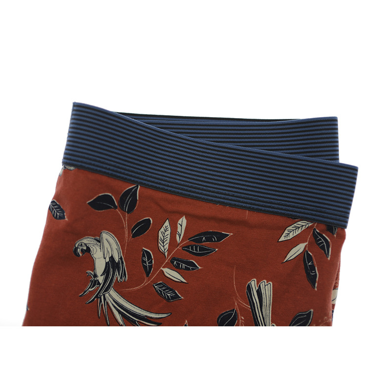 Males Boxer Briefs Short Herren-Boxershorts kurz