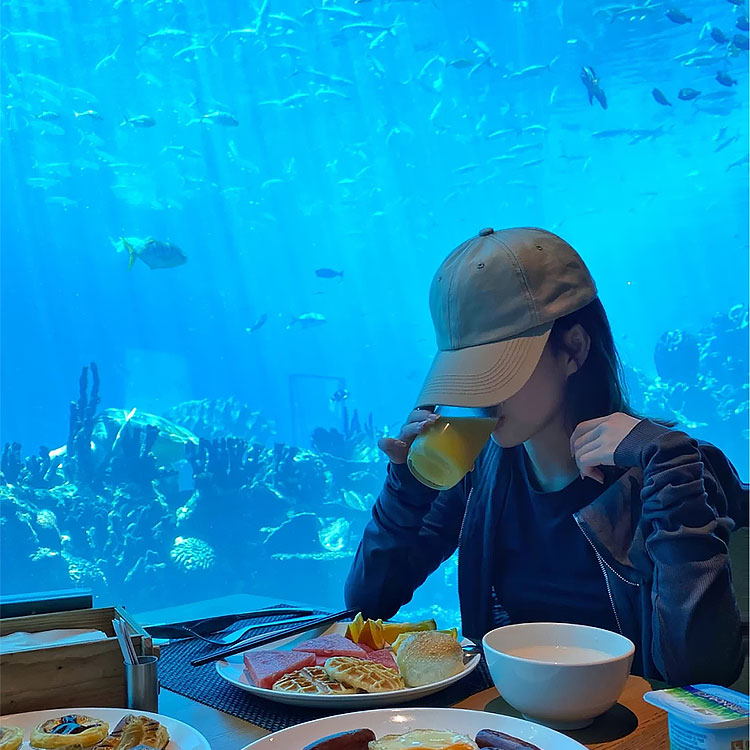 aquarium cafes akvarijumski kafići