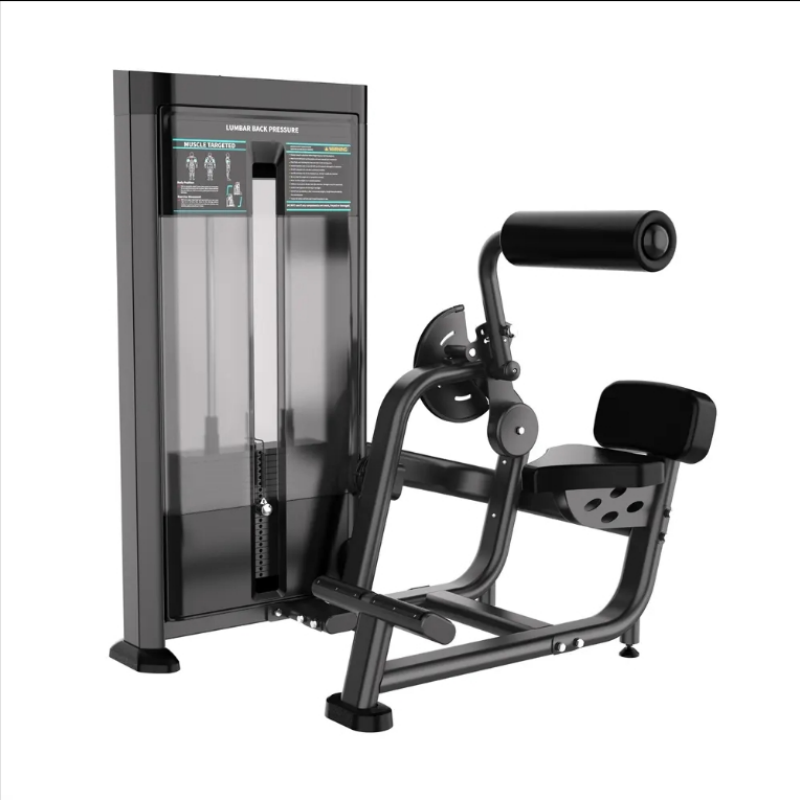 XYSFITNESS Commercial Back Extension Machine XYSFITNESS Söwda arka uzatma enjamy