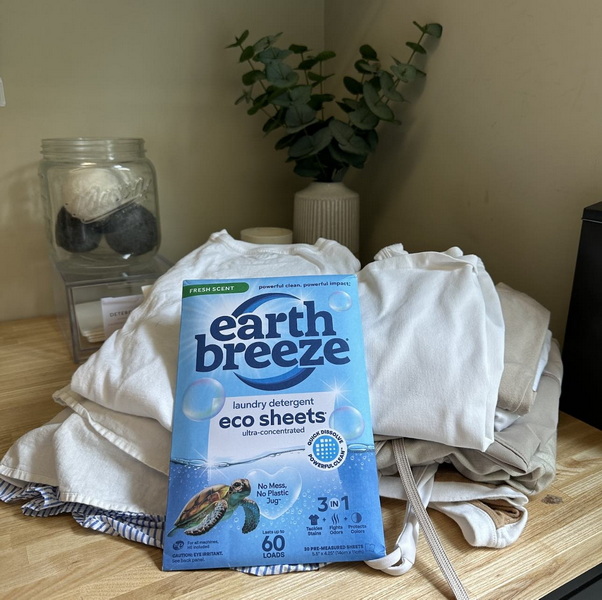 עלות גליונות כביסה של Earth Breeze