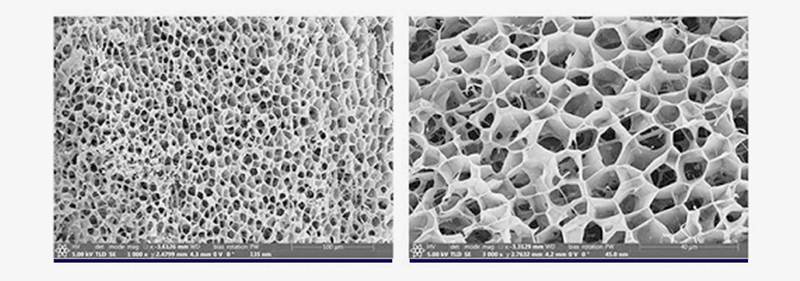 Mesocel Type Ⅲ Collagen Injection ingredient