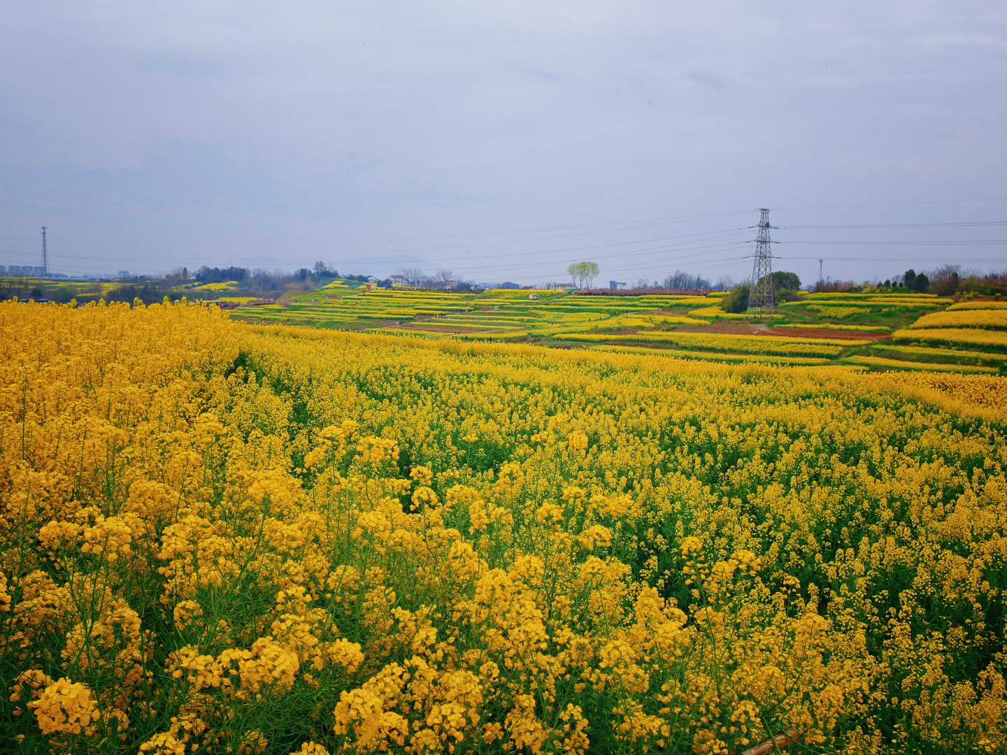 微信图片_2026-03-23_091344_464 微信图片_2026-03-23_091344_464