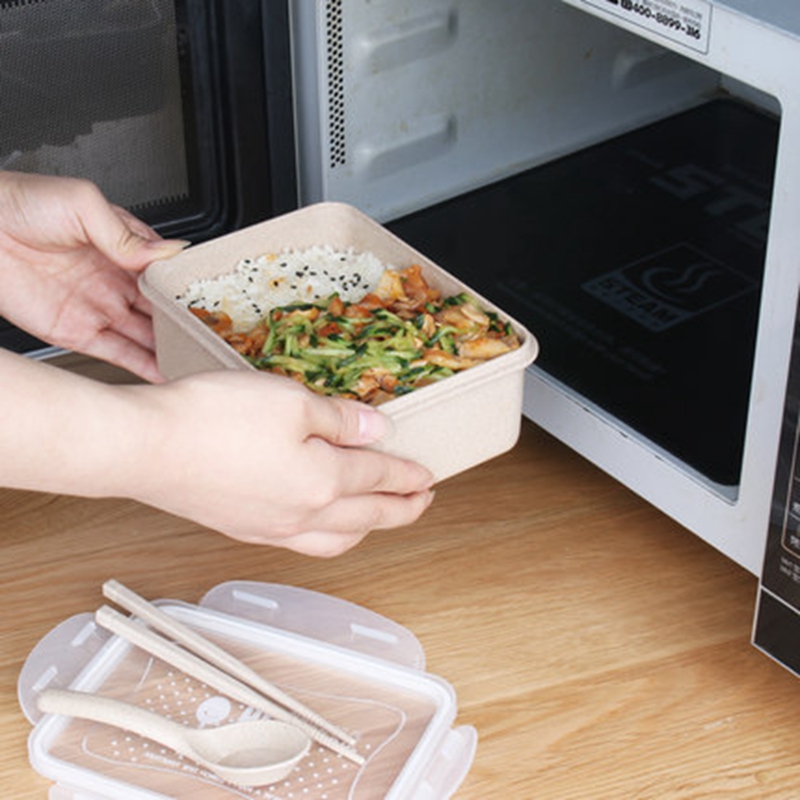 Wholesale BPA Free Plastic Container Bento Style Lunch