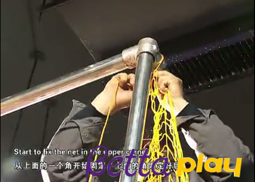 图片37 foto 37
