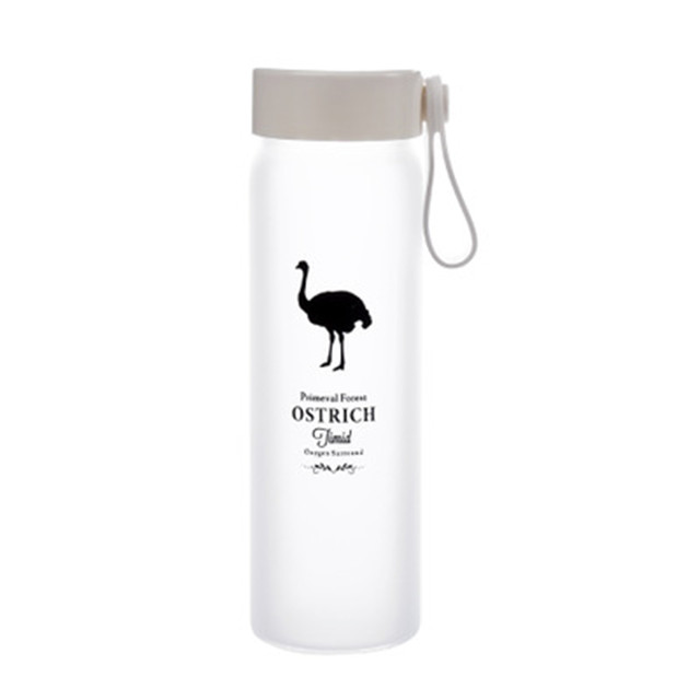 New Frosted 380ML Glass Drinking Bottle, Glass Water Bottle With