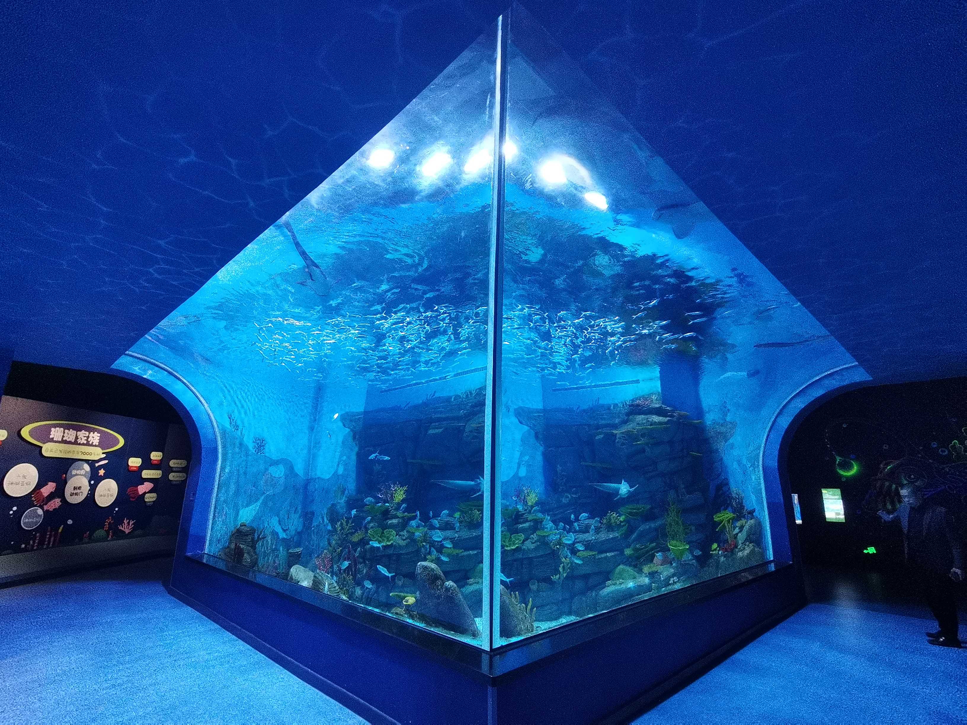 Si i lakoni flet&euml;t akrilike?