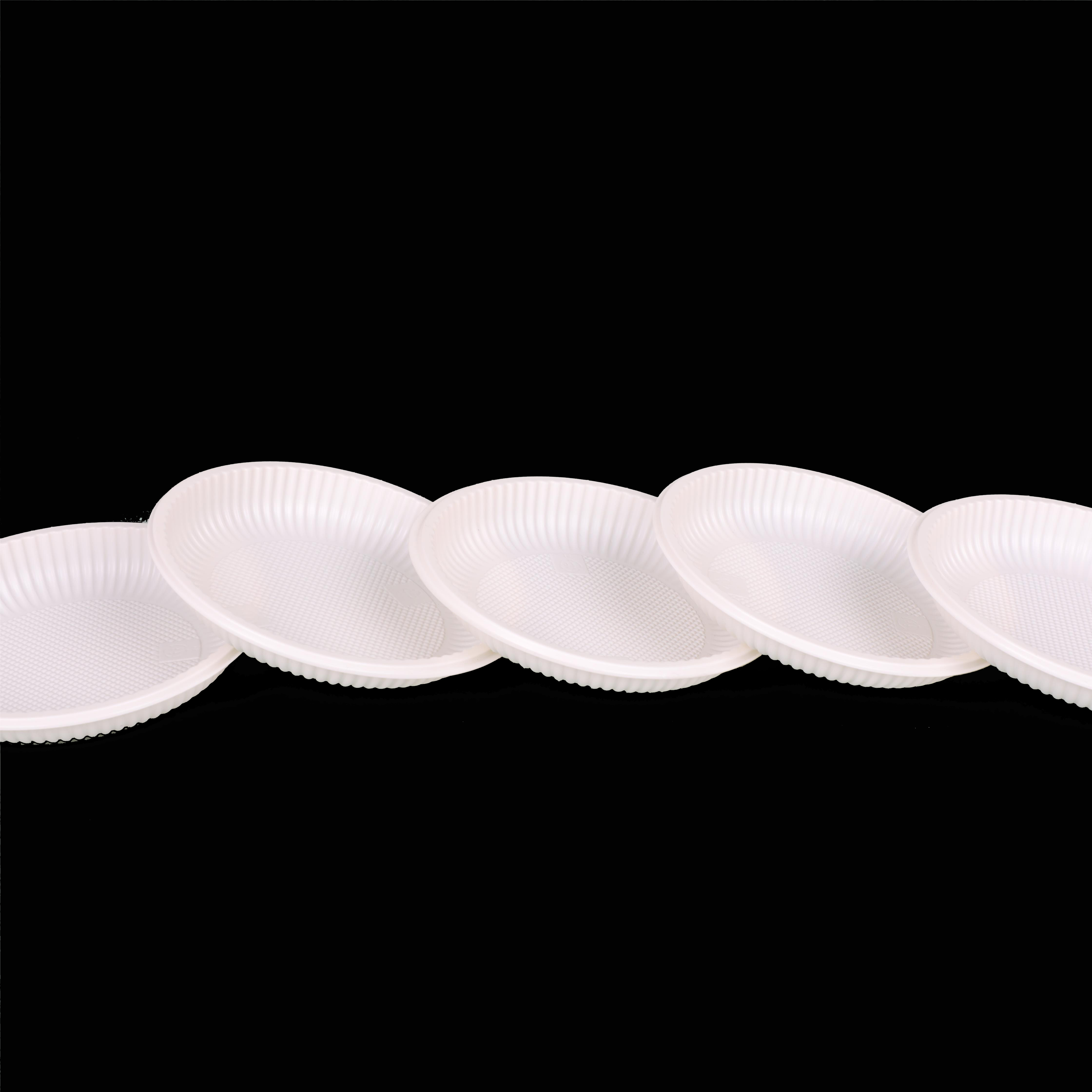Eco Friendly PLA Tableware
