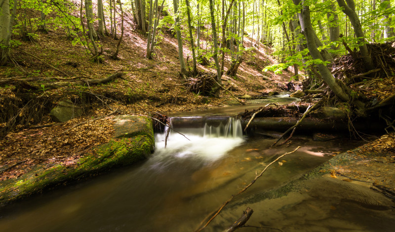 creek-environment-fall-409159-via-sitapix-com