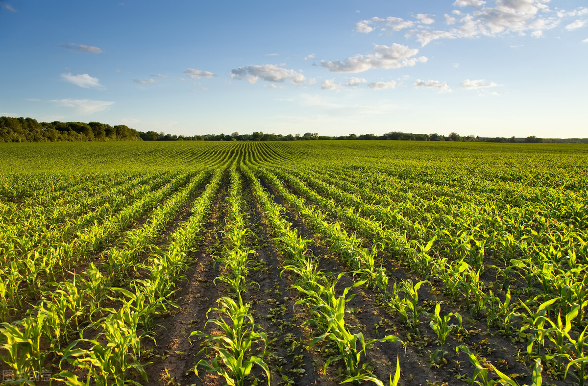 53d3e48061e7488ebd46a93dd839a688