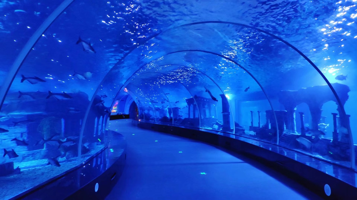 T&uacute;nel de Acuario nisqa