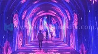 الزهور بين النجوم