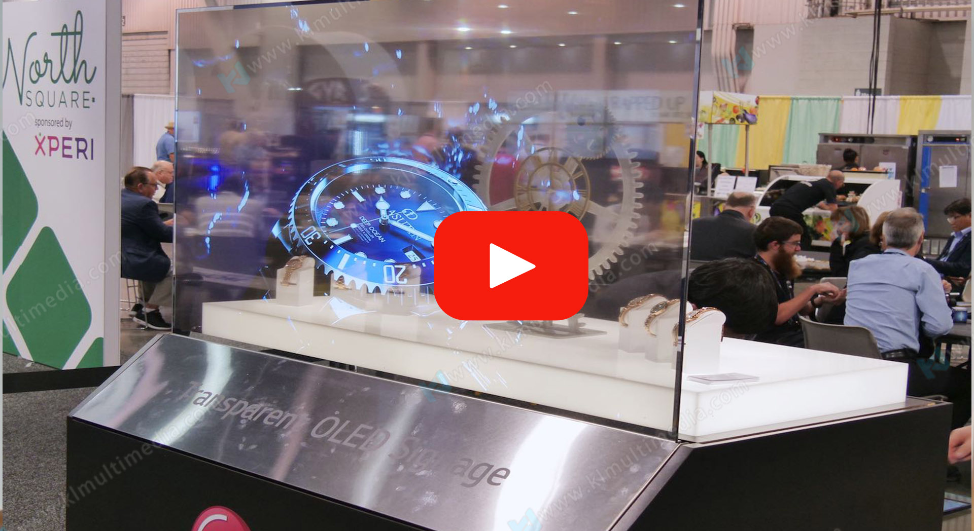 فيديو OLED شفاف