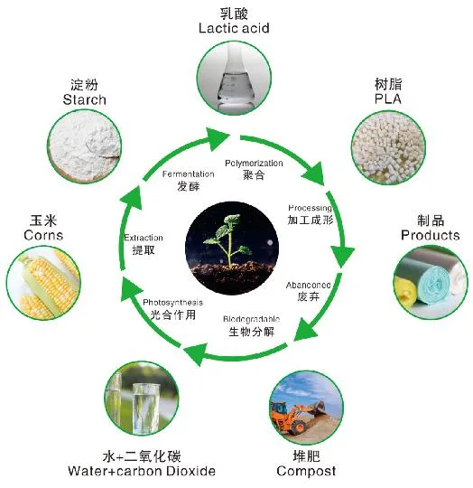 Biodegradable PLA Saeful Piala Saucer Spoons