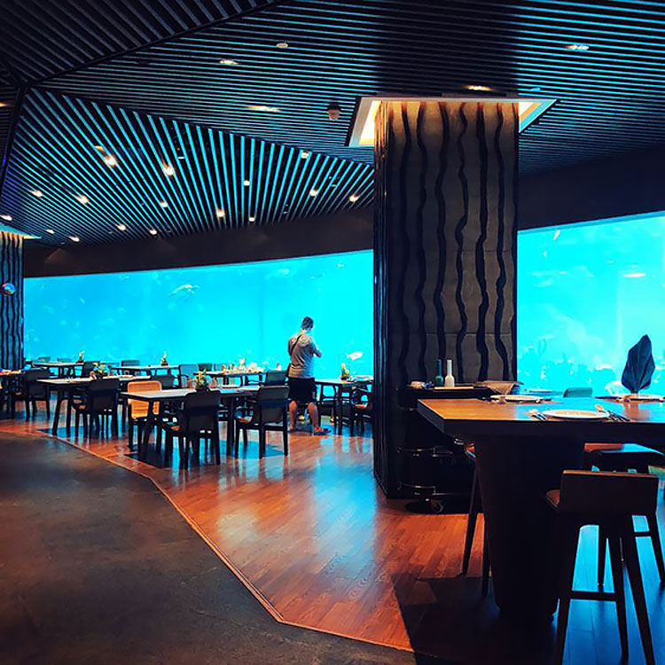  Leyu Acrylic Aquarium - kiwanda