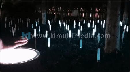 تفاعل الإضاءة