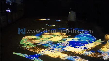 Whale Immersive Exhibition