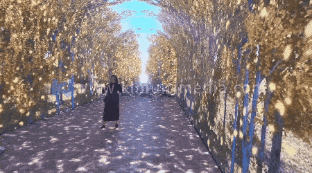 مساحة غامرة