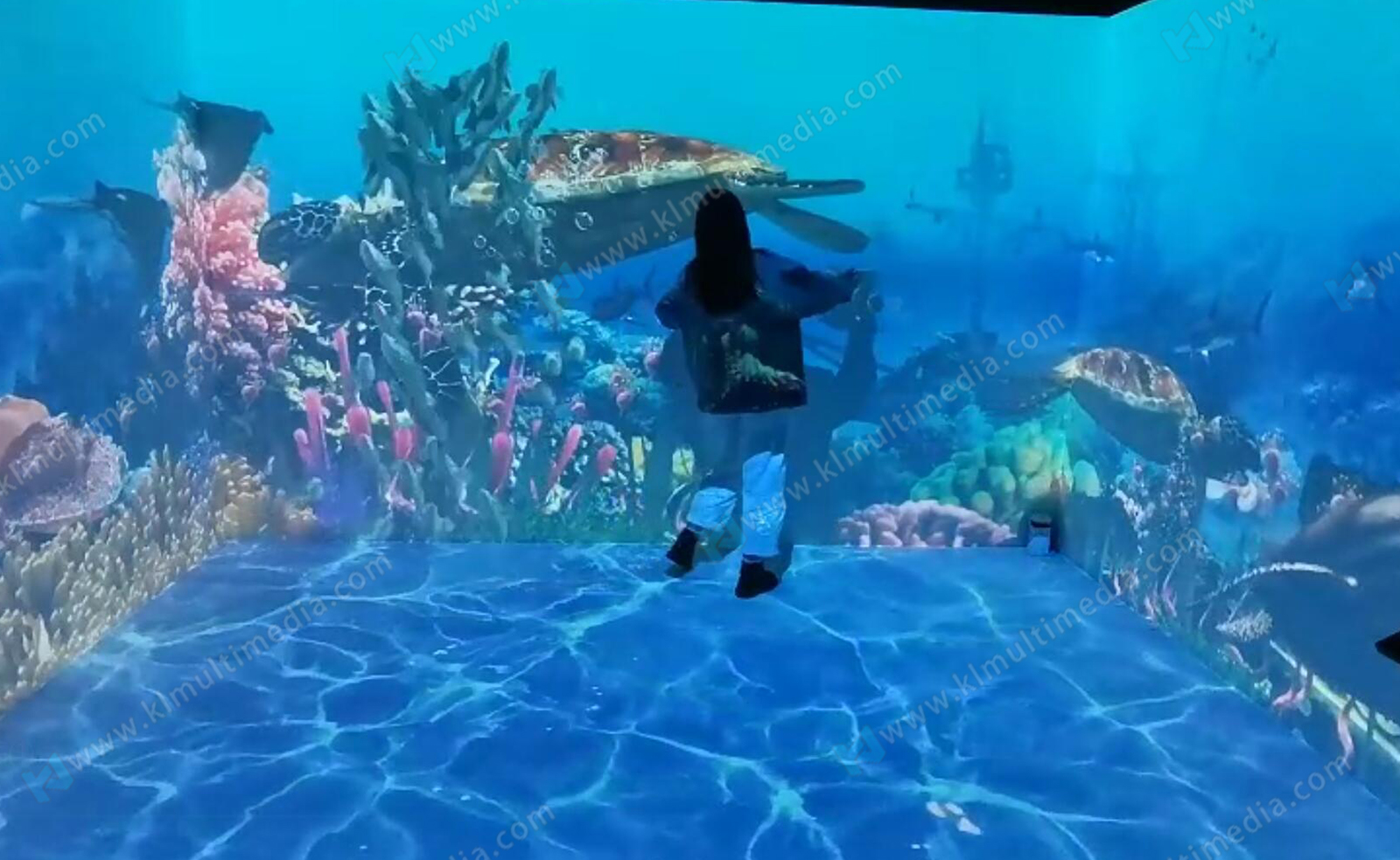 صور جهاز العرض على الحائط