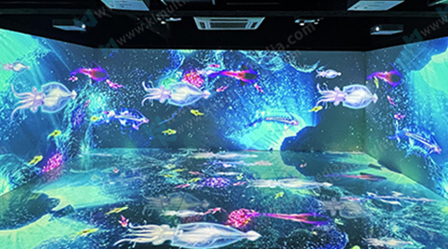 Immersive Projection room