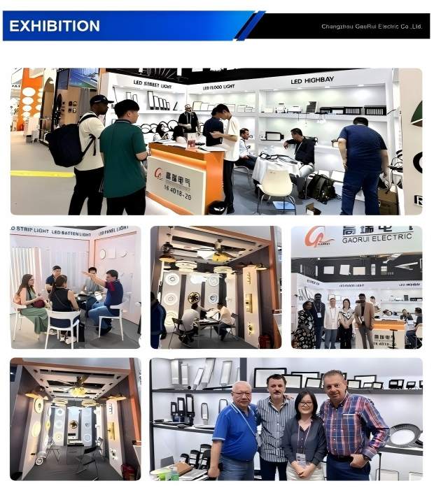 Гаоруи Электрик