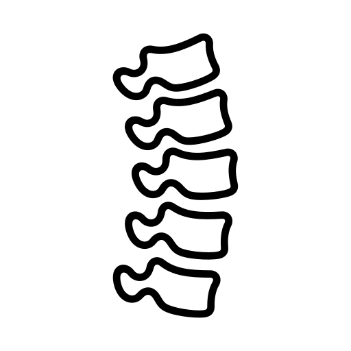 C&oacute;ras spine