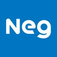 Nippon Electric Glass (Japonsko)