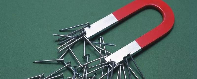 Do Magnets Stick to Stainless Steel