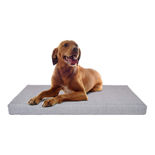Orthopedic Foldable Memory Foam Modern Plush Designer OEM Available Dogs New Pet Bed