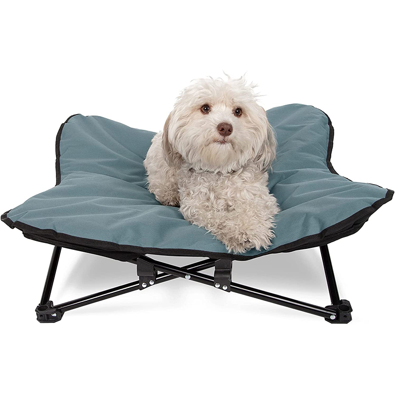 PET AIUSH COT (5)
