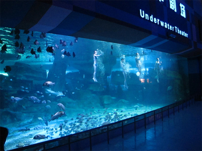 Matapihi aquarium kiriaku - hanga