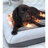 CPS Wear-Resistant Memory Foam Pet Soft Pillow 