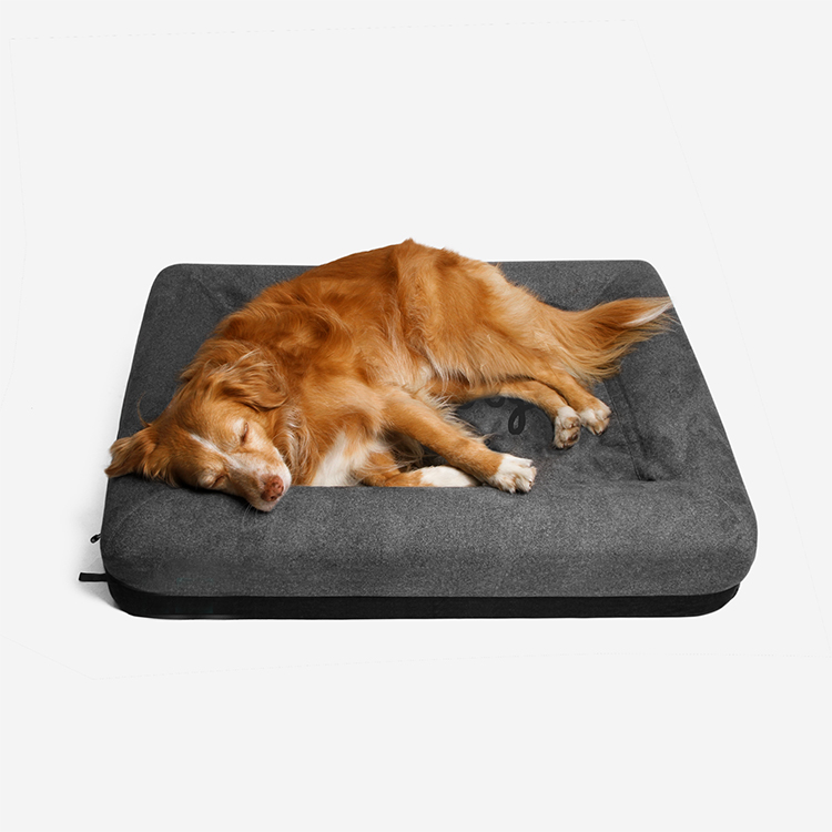 Custom Non-slip Furniture Luxury Sofa Cat Modern Pet Dogs Bed