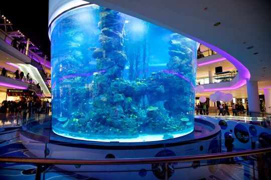 Tangki ikan akrilik tersuai - Pembuatan